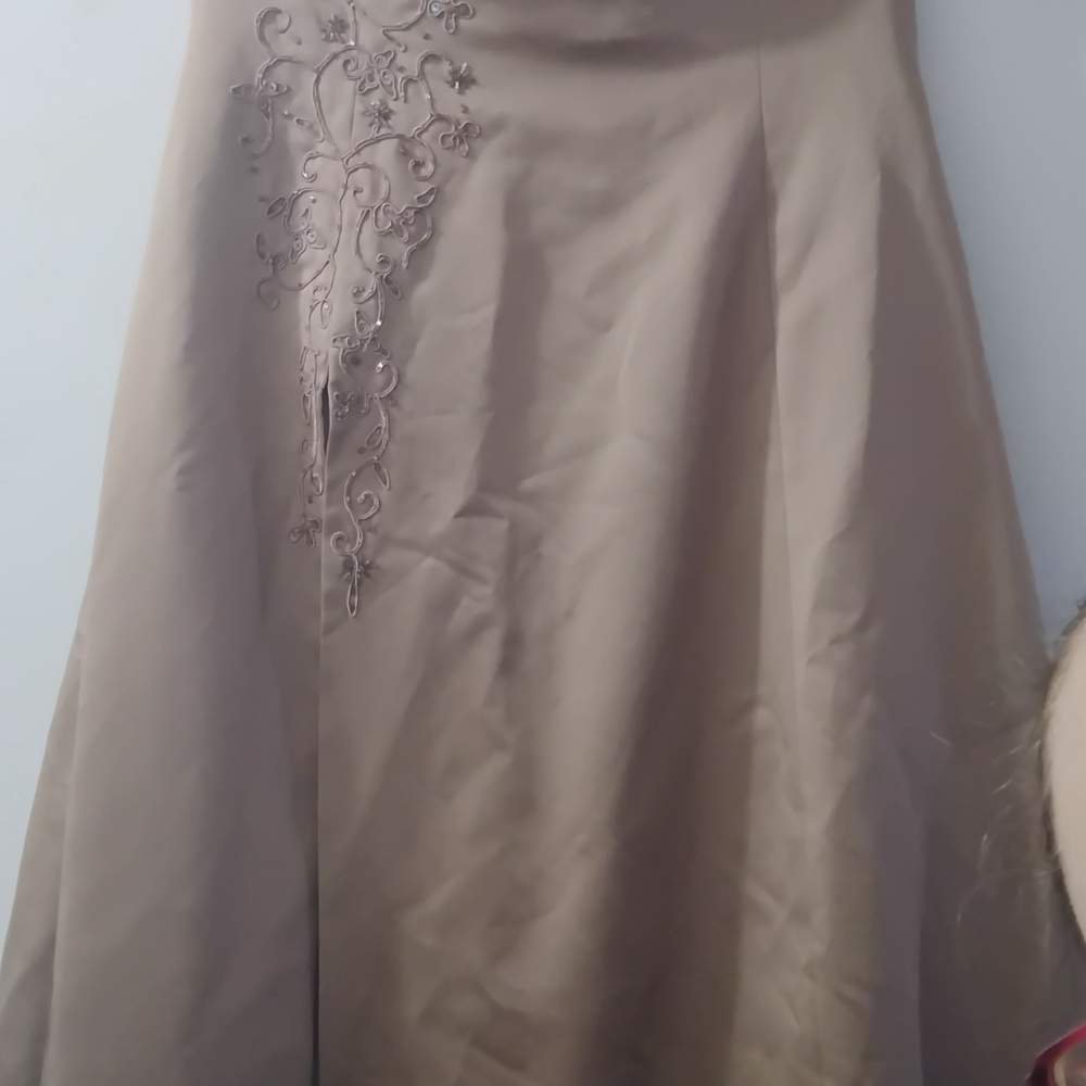 Michaelangelo Elegant Tan Embroidered Dress